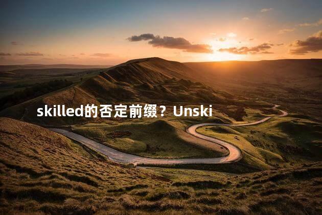 skilled的否定前缀？Unskilled Workers A Critical Review